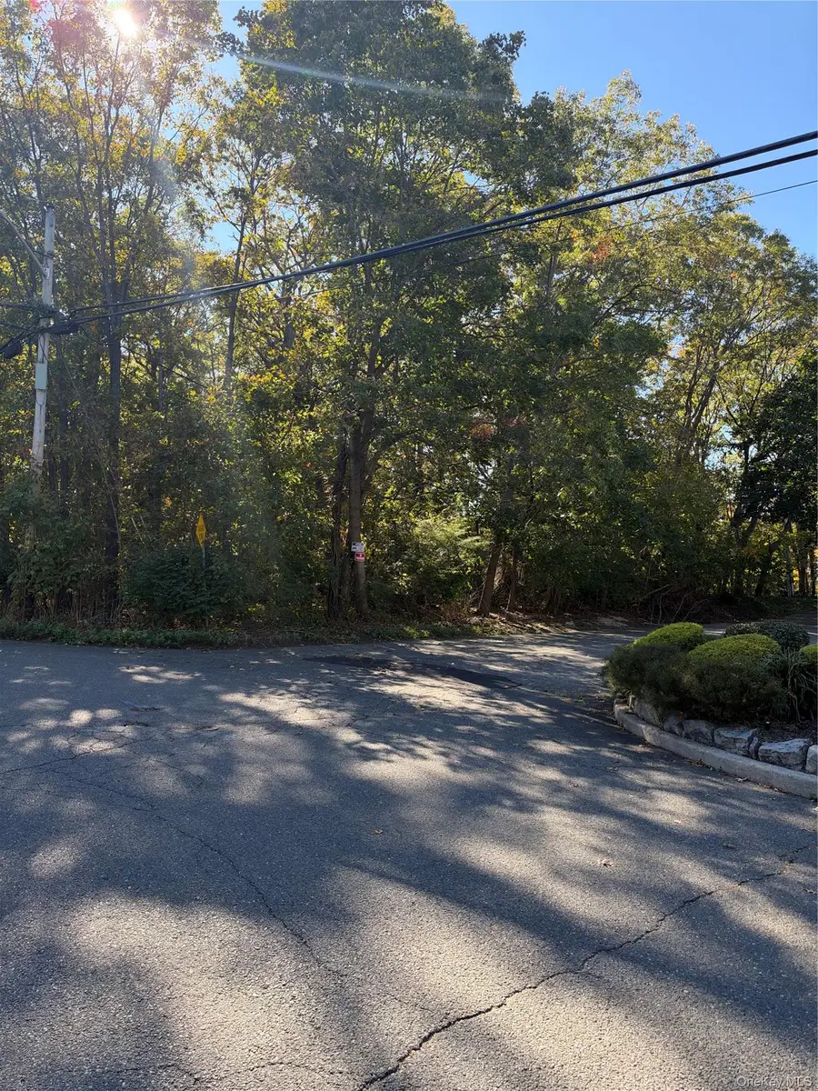 Morris Avenue, Huntington, NY 11743 - #2