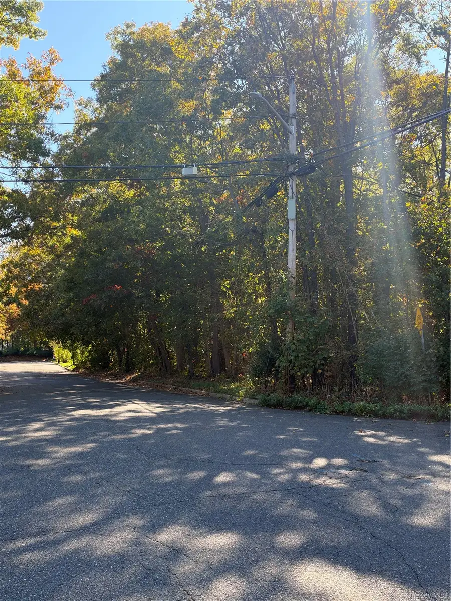 Morris Avenue, Huntington, NY 11743 - #3