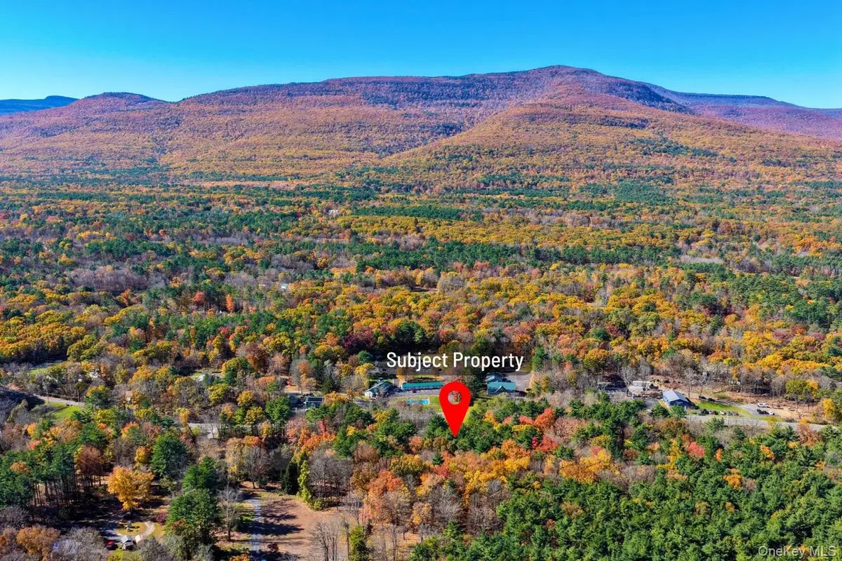 TBD Route 32, Catskill, NY 12414 - #1