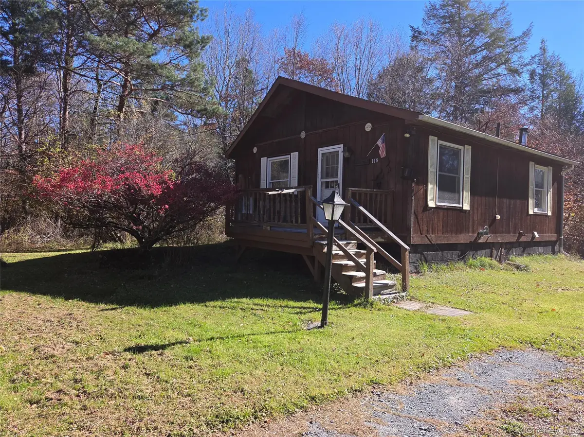119 Mineral Springs Road, Livingston Manor, NY 12758 - #1