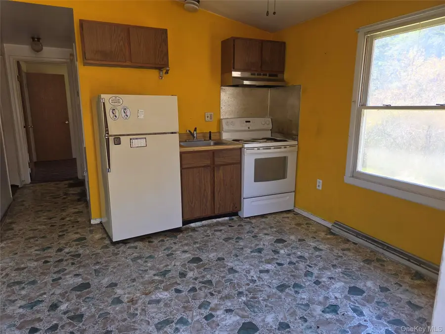 119 Mineral Springs Road, Livingston Manor, NY 12758 - #3