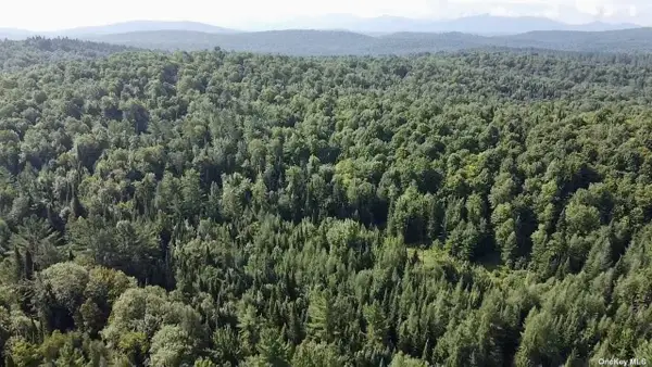 Donaldson Road, Franklin, NY 12983