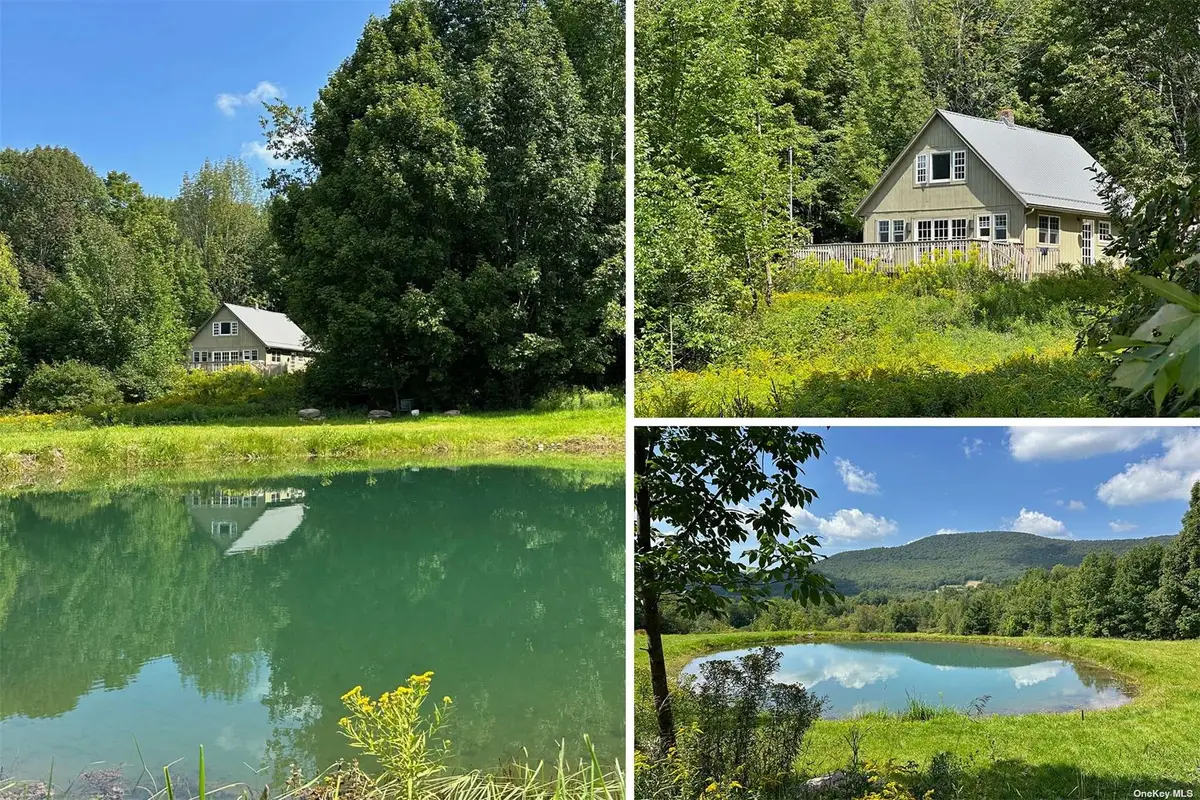 2621 Sallys Alley, Denver, NY 12421 - Image #1