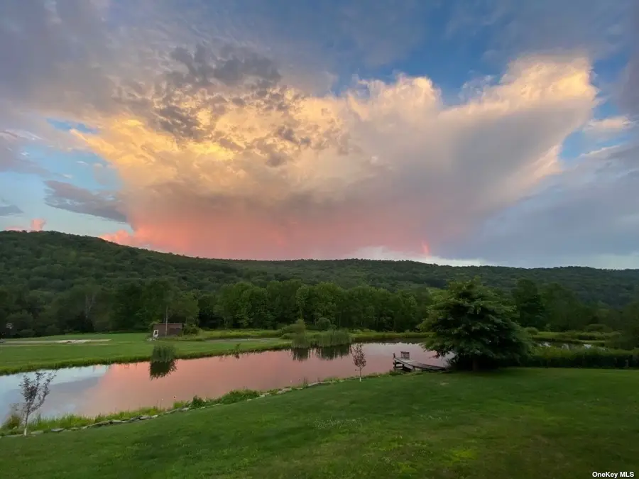 1035 Schofield Road, Deposit, NY 13754 - Image #3