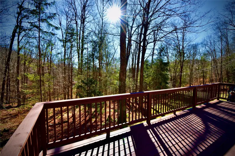 339 Mountain Lake Road, Andes, NY 13731 - Image #3