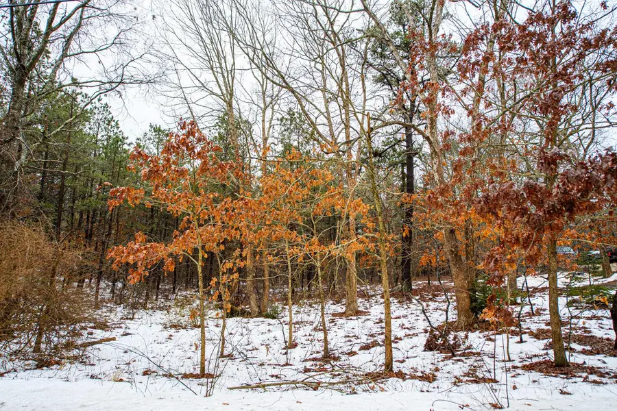 Elizabeth Way, Ridge, NY 11961 - Image #2