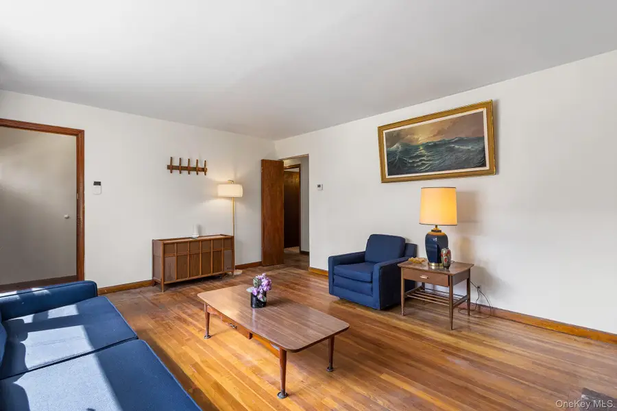 40 Carnegie Avenue, Elmont, NY 11003 - Image #3