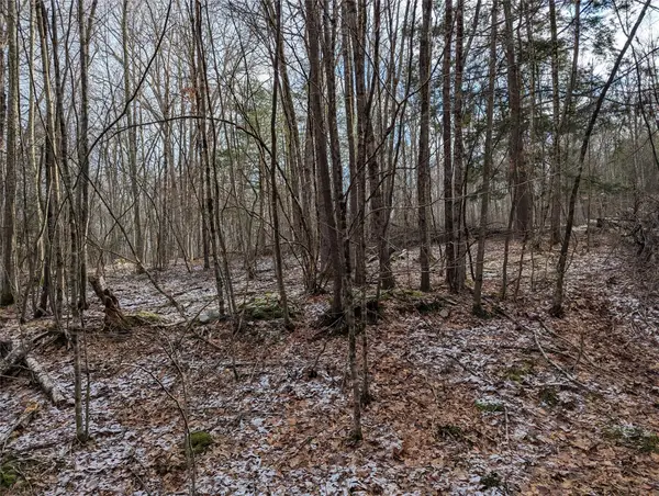 2 South (foster) 16.-7-1.10 Trail, Narrowsburg, NY 12764