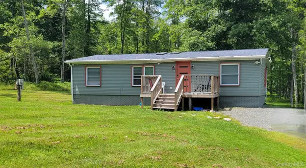 61 Old Cochecton Road, Narrowsburg, NY 12764