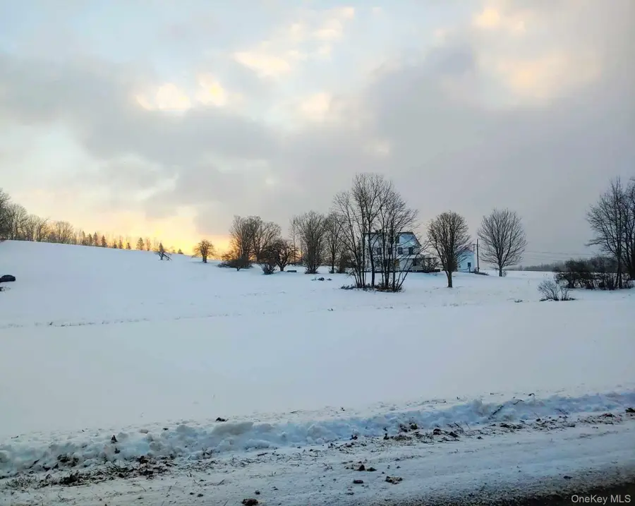 354 E Hill Road, Jeffersonville, NY 12748 - Image #3