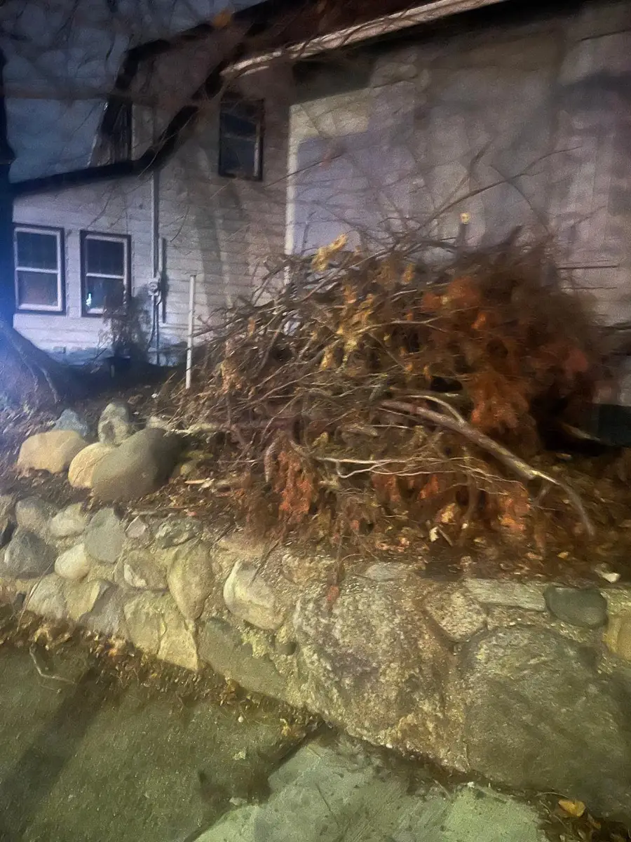 4817 Little Neck Pkwy, Little Neck, NY 11362 - Image #3