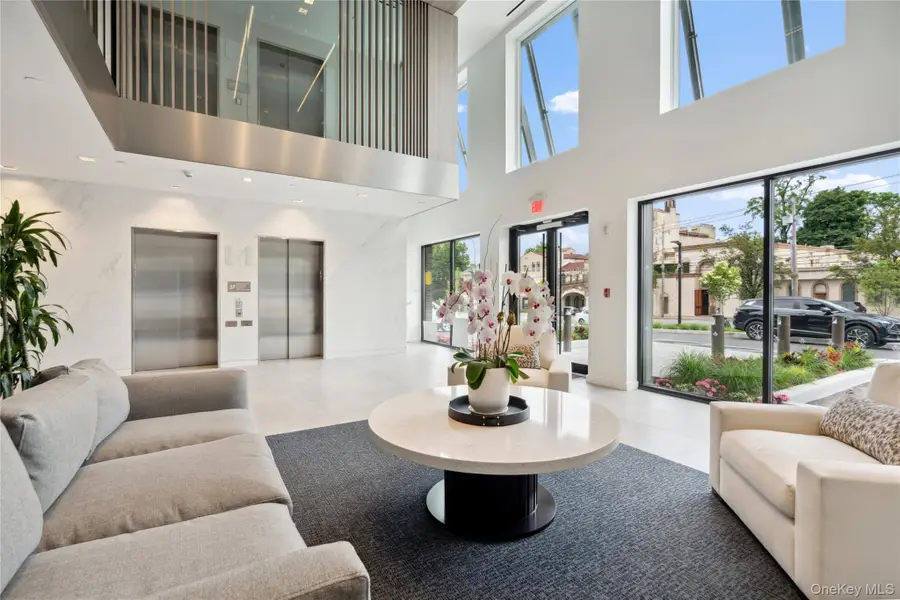 218 Middle Neck Road #302, Great Neck, NY 11021 - Image #2