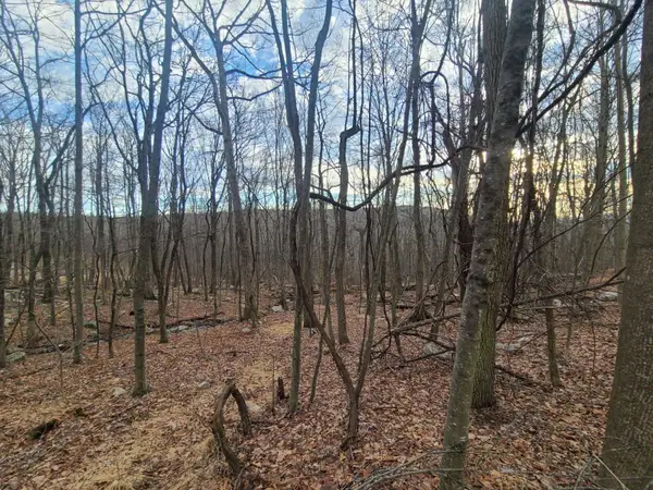 Ferguson Road, Bloomingburg, NY 12721