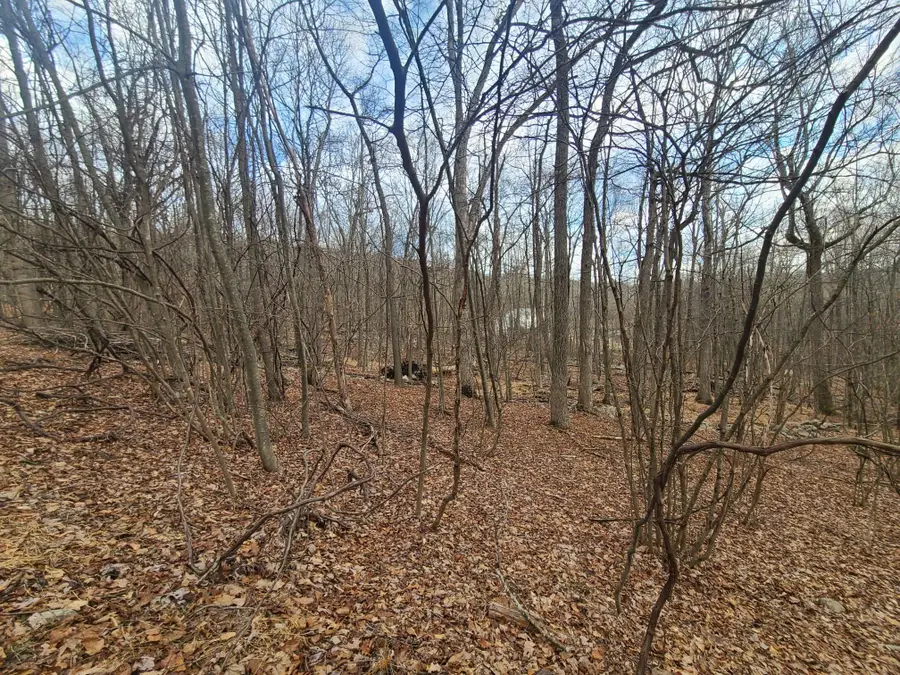 Ferguson Road, Bloomingburg, NY 12721 - Image #3