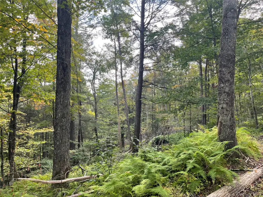 Carcass Brook Spur, Hancock, NY 13783 - Image #3