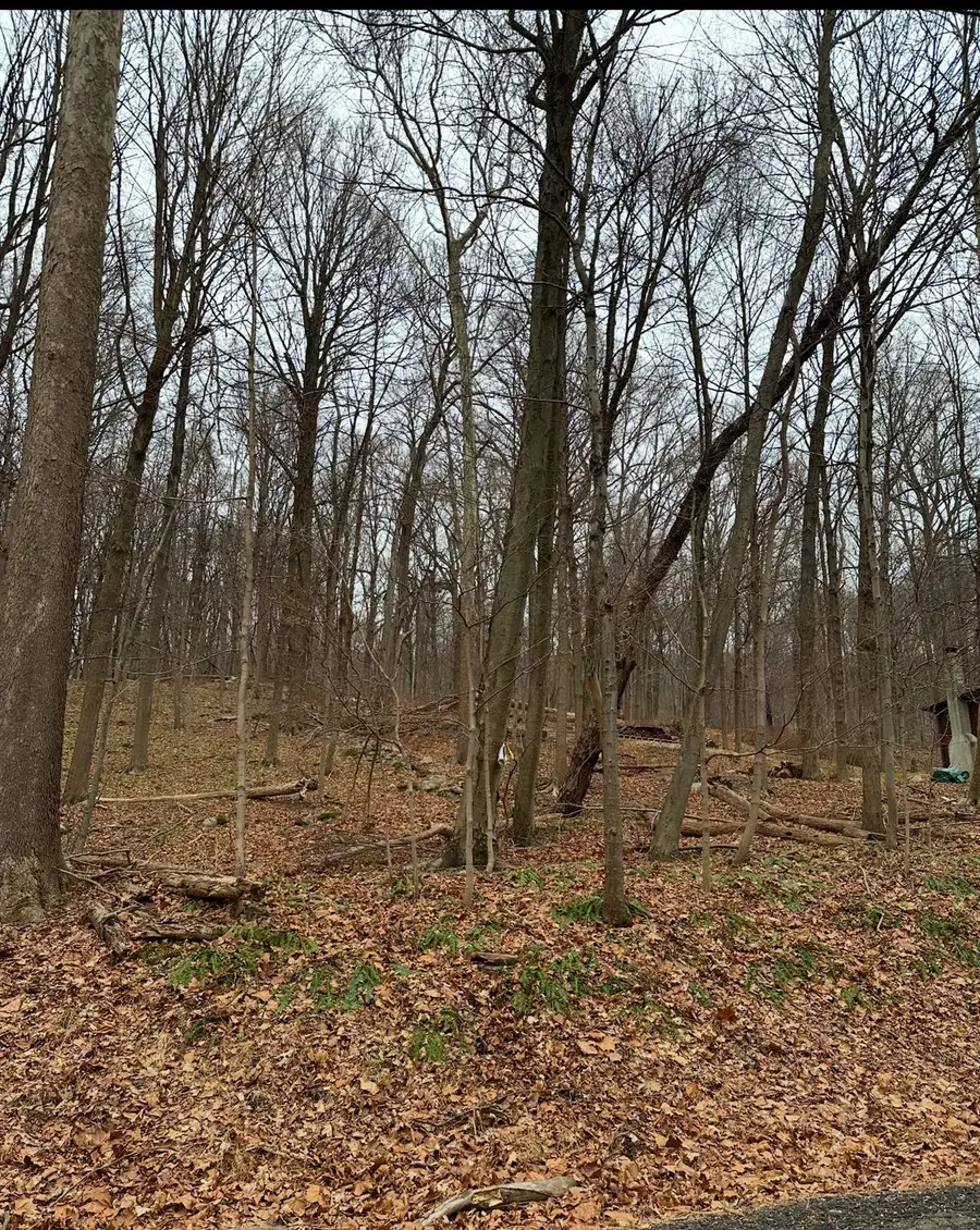 12 Laura Lane, Hopewell Junction, NY 12533 - #2