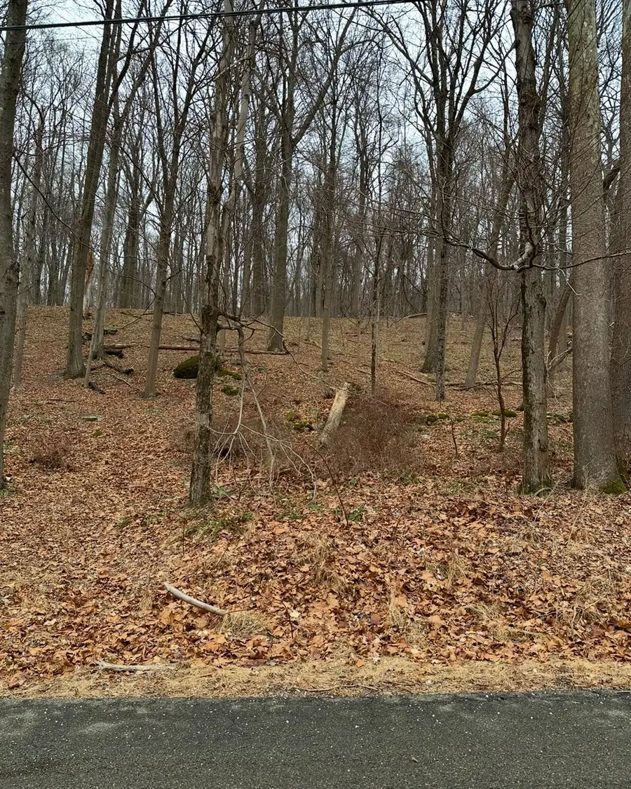 16 Laura Lane, Hopewell Junction, NY 12533 - Image #2