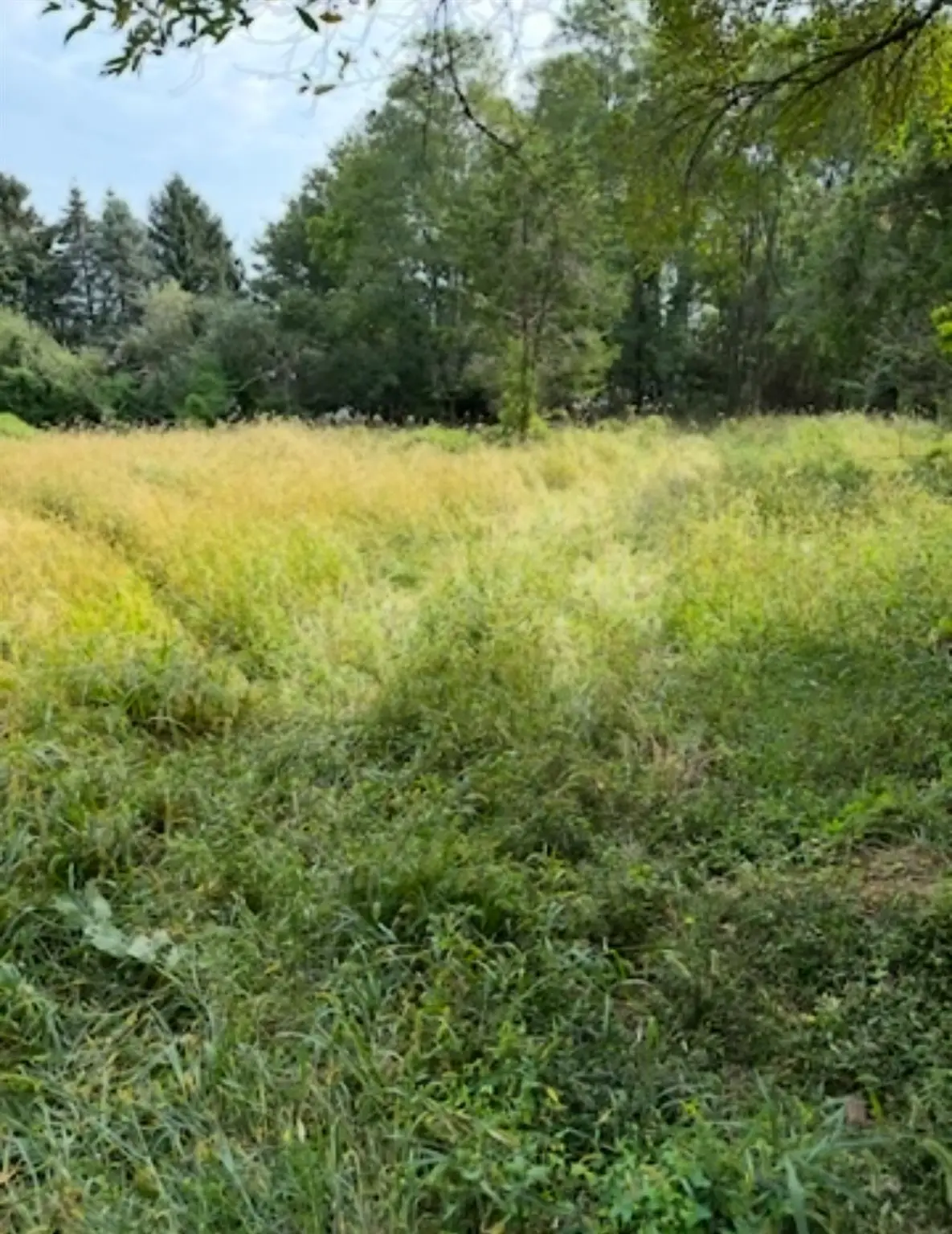 1350 Hortons Lane, Southold, NY 11971 - Image #1