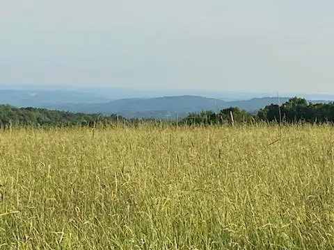 0 Stump Pond Road, Callicoon Center, NY 12724 - Image #1