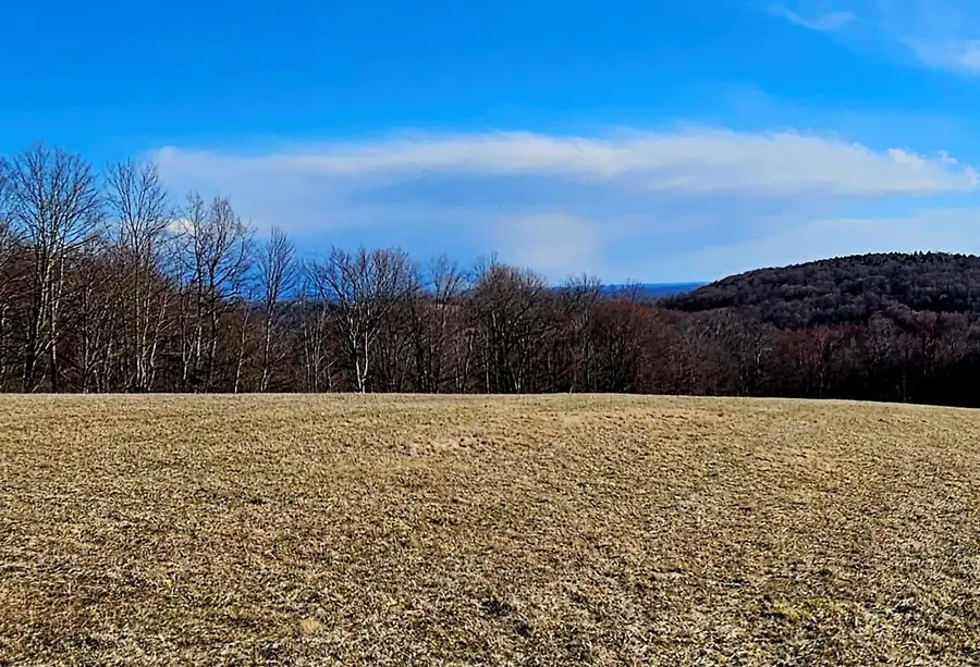 0 Stump Pond Road, Callicoon Center, NY 12724 - Image #3