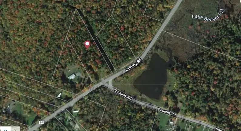 Cooley Road, Parksville, NY 12768 - Image #2