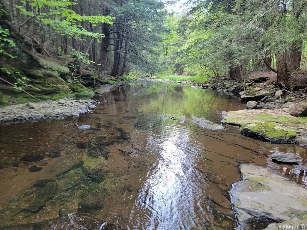 172 Eagles Ridge Way, Parksville, NY 12768 - Image #1