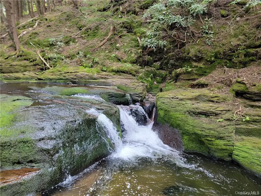 172 Eagles Ridge Way, Parksville, NY 12768 - Image #2