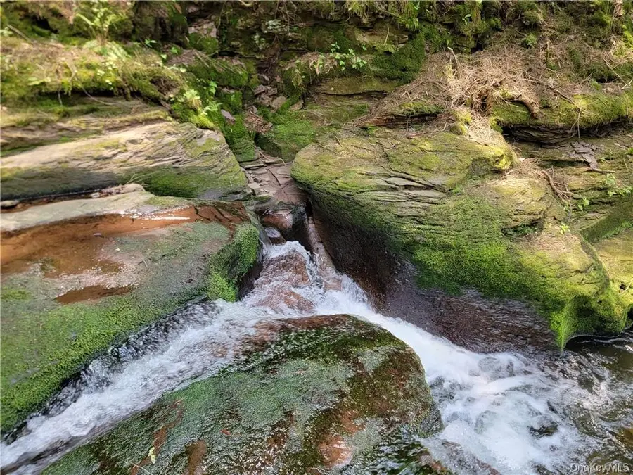 172 Eagles Ridge Way, Parksville, NY 12768 - Image #3