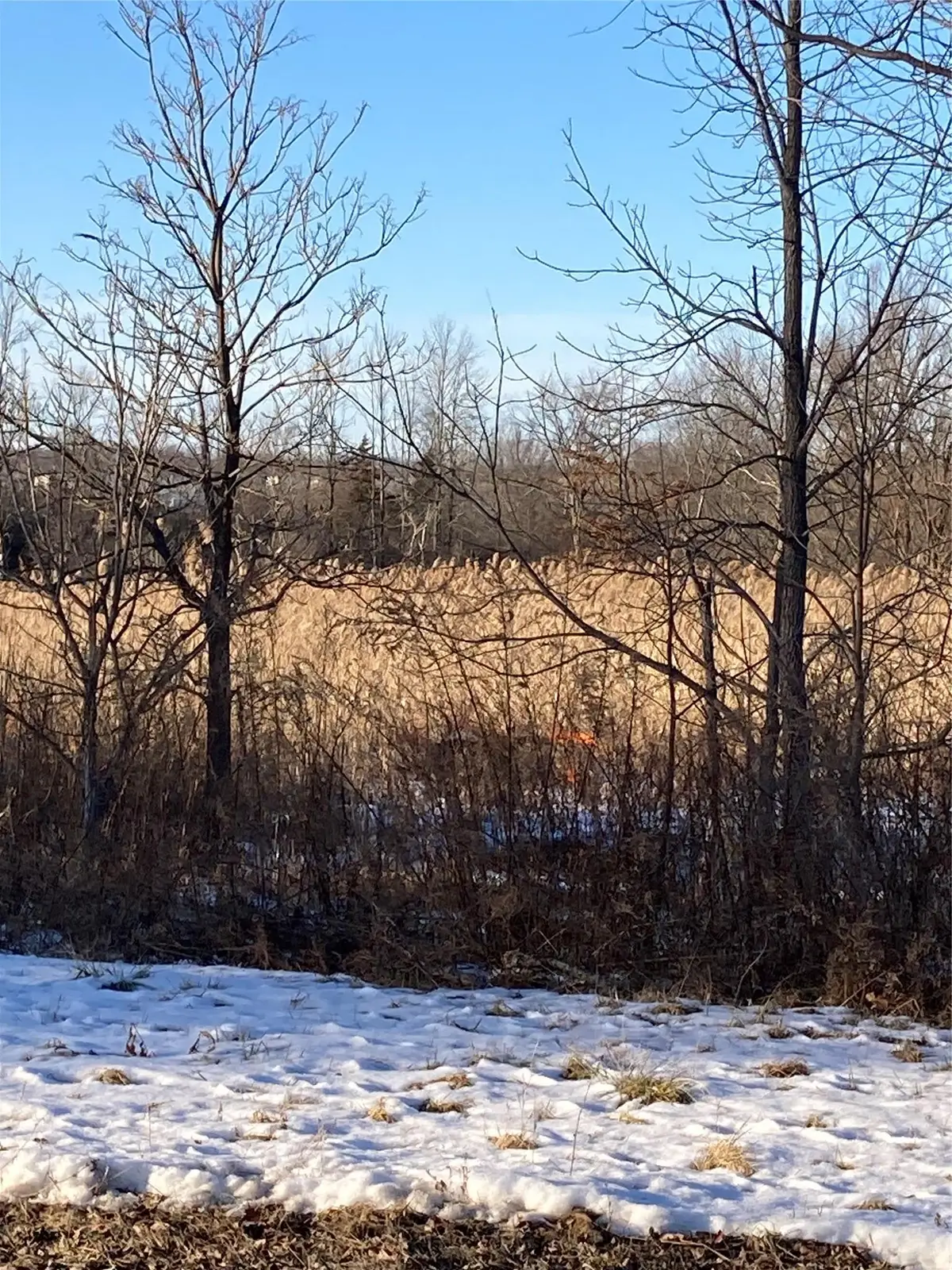 50 Police Drive, Goshen, NY 10924 - Image #1