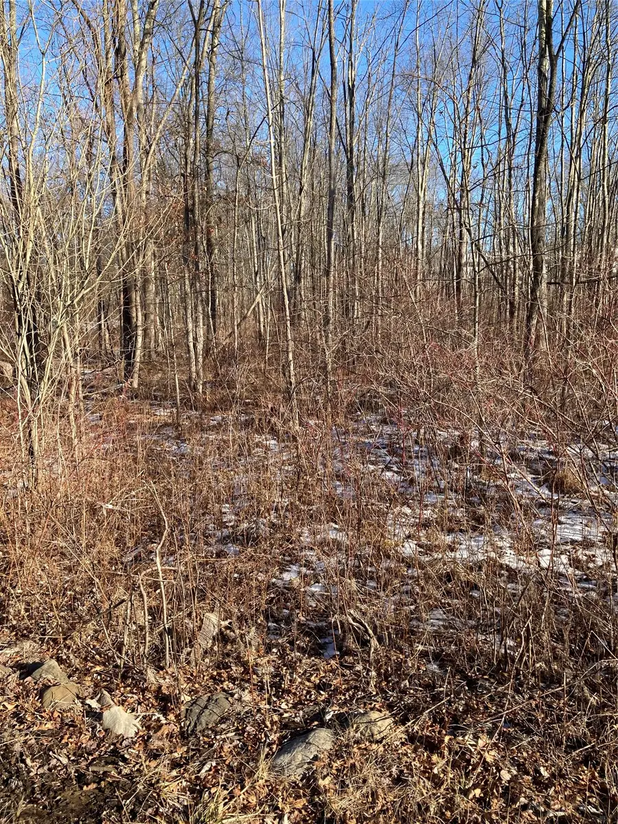 2190 State Route 208, Montgomery, NY  - Image #2