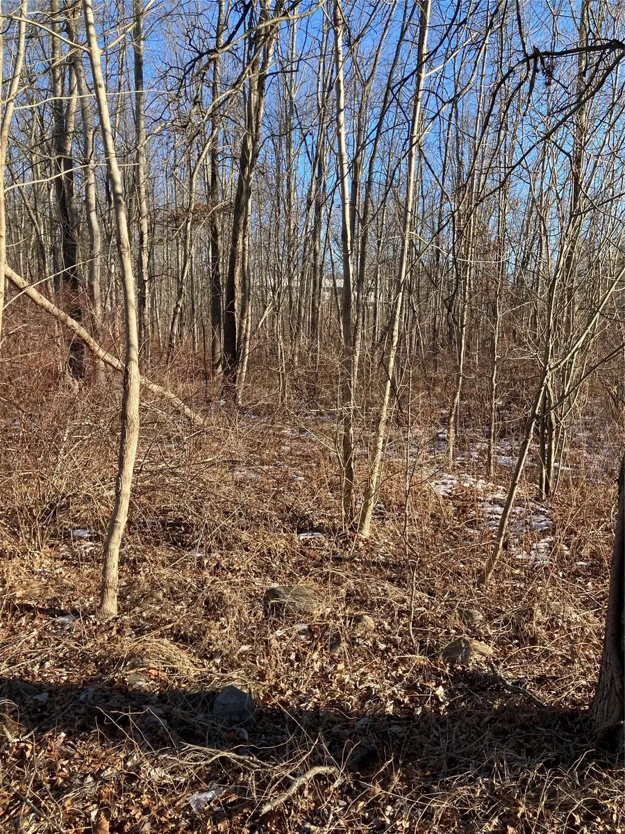 2190 State Route 208, Montgomery, NY  - Image #3