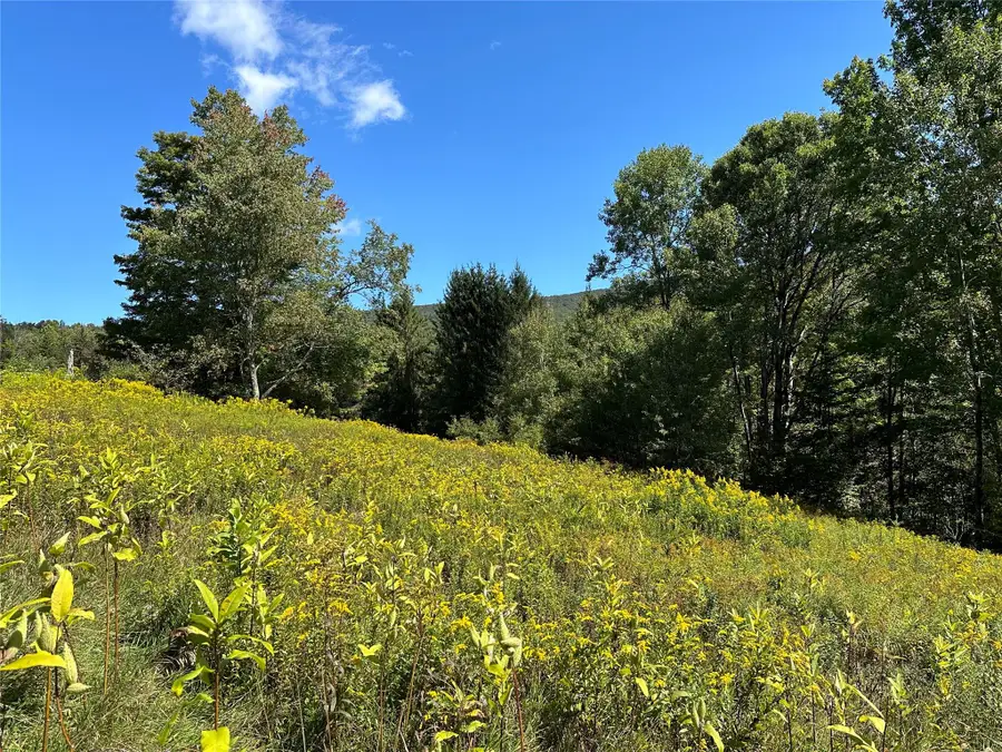 Todd Mt, Arkville, NY  - Image #3