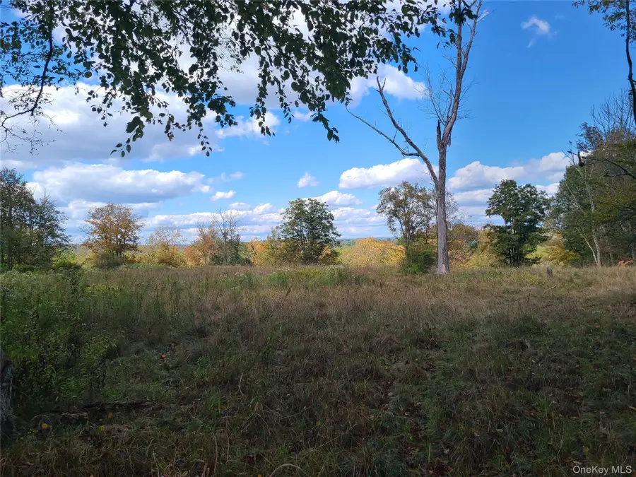 118 Hilltop Road, Monticello, NY 12701 - #3