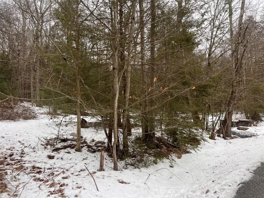 Adams Road, Rock Hill, NY 12775 - Image #2