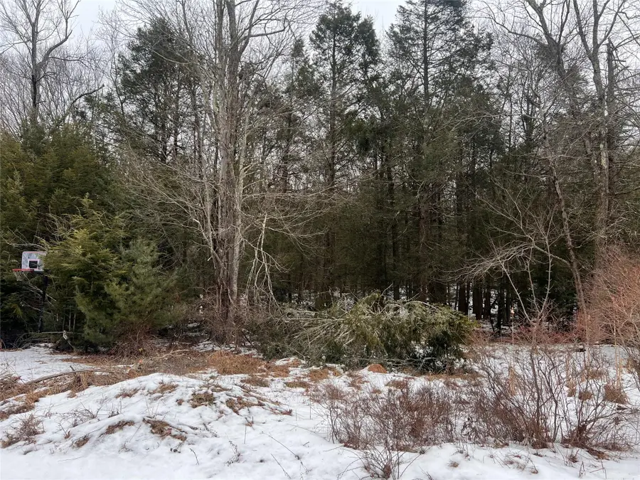 Adams Road, Rock Hill, NY 12775 - Image #3