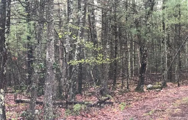 Eldred-yulan Road, Highland, NY 12528 - Image #3