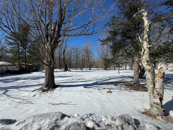 22 Schoonmaker Road, Haines Falls, NY 12442