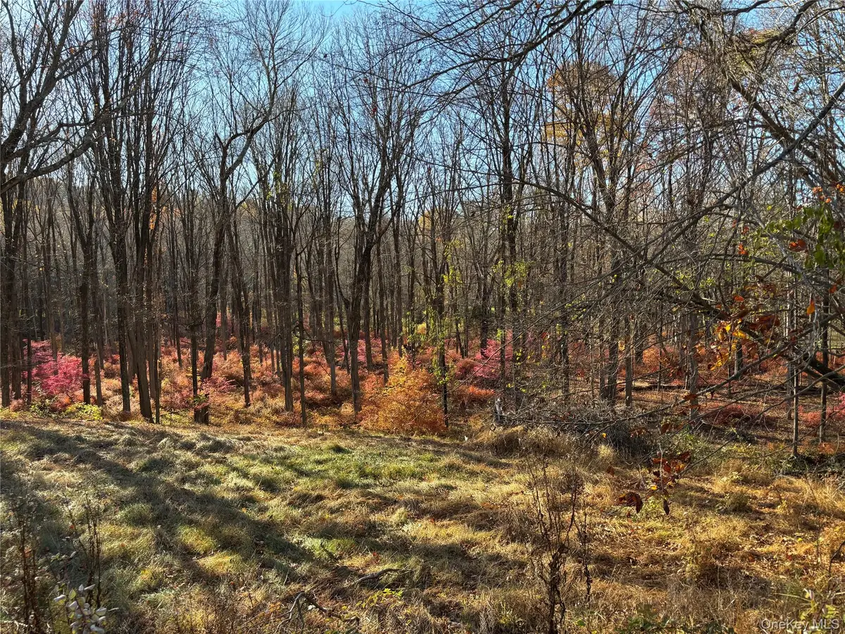 201 Long Ridge Road, Bedford, NY 10506 - Image #1