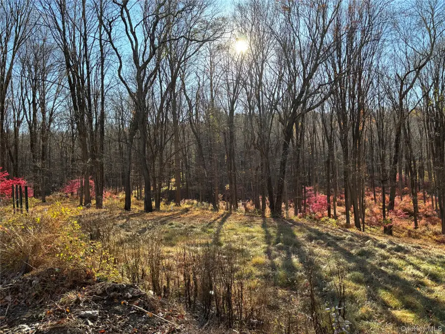 201 Long Ridge Road, Bedford, NY 10506 - Image #2