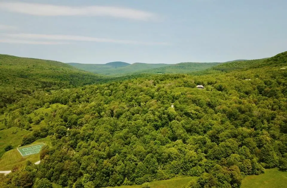 TBD High Meadow Road, Lew Beach, NY 12758 - #1