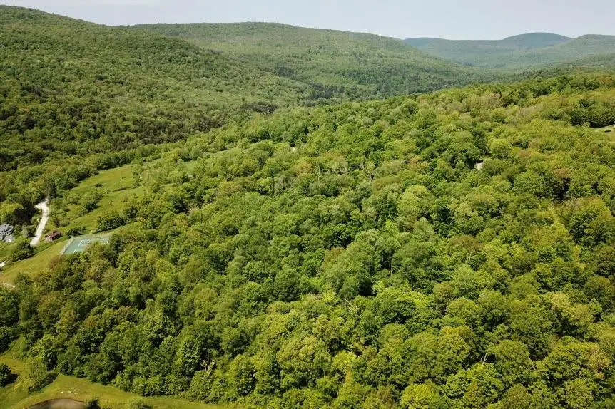 TBD High Meadow Road, Lew Beach, NY 12758 - #2