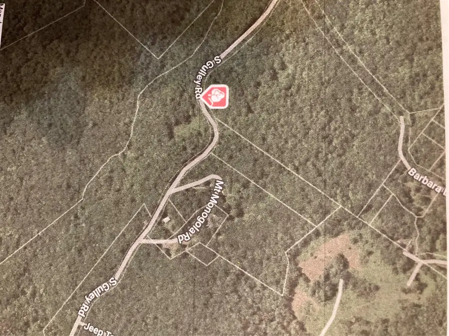 South Gully / Mt Meenagha S Gully, Cragsmoor, NY 12420 - Image #2