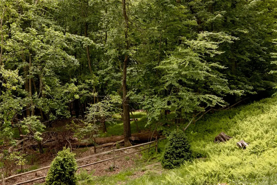 49 Sky Top Road, Copake, NY 12516 - Image #2