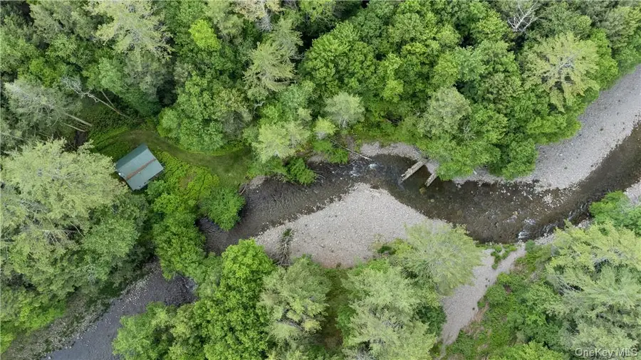 56 Saw Mill Road, Claryville, NY 12725 - Image #2