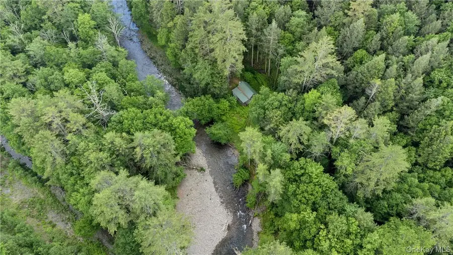 56 Saw Mill Road, Claryville, NY 12725 - Image #3