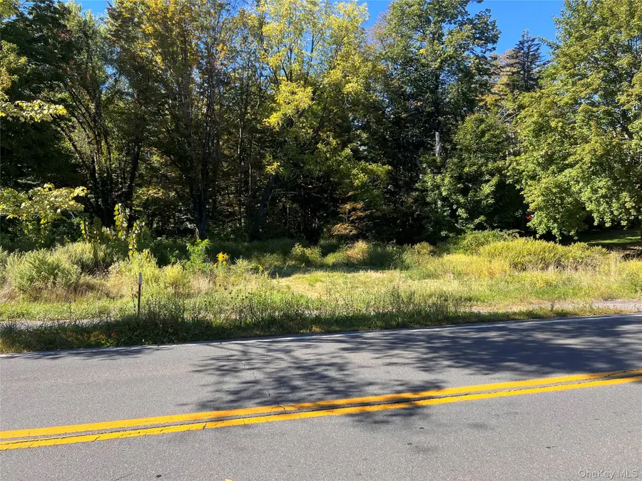 15 Main Street, Napanoch, NY 12458 - Image #3