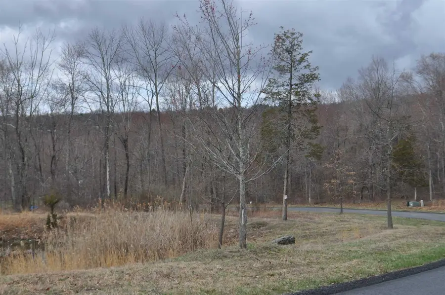 Stonecrest Lot #9 Court, Hopewell Junction, NY 12533 - #3