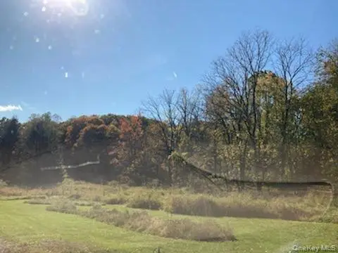 Primrose Hill Road, Rhinebeck, NY 12572 - Image #2