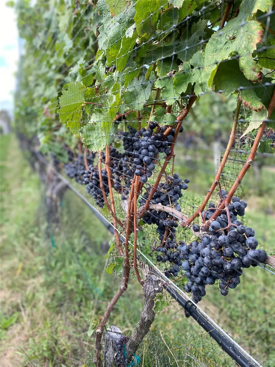 6094 Sound Avenue, Jamesport, NY 11947 - Image #2