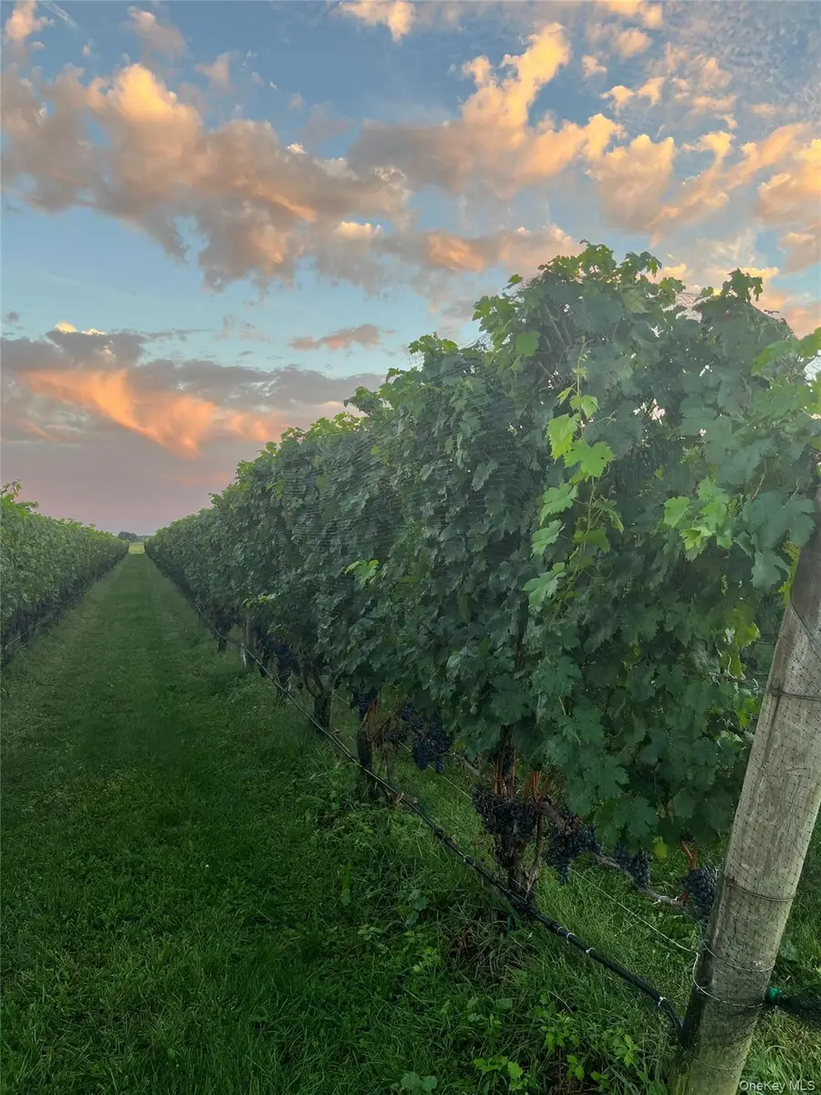 6094 Sound Avenue, Jamesport, NY 11947 - Image #3